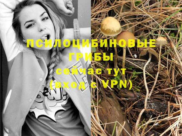 винт Снежногорск