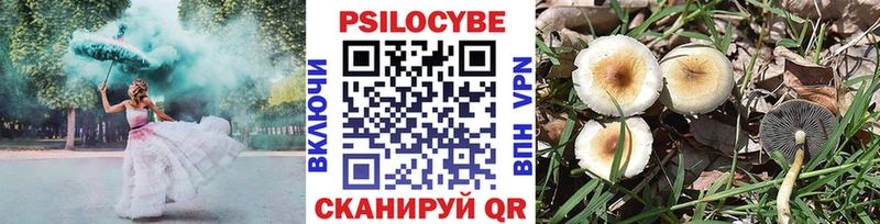 Псилоцибиновые грибы Psilocybine cubensis  Ершов 
